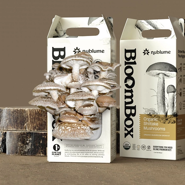 Custom Mushroom Packaging Image 1
